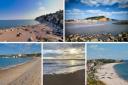 Seaton, Beer, Exmouth, Budleigh and Sidmouth all awarded Blue Flag status