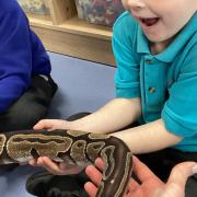Weston school children introduced to exotic rainforest wildlife