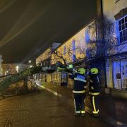 Fallen tree in Taunton High Street
