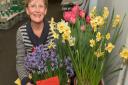 Joan Pittock with a collection of her prize winning flowers.