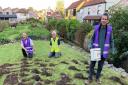 The Mendip Rotary Club has planted 4,000 Irises in Cheddar Gorge.