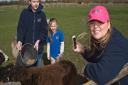 Krystal Finch filming Brayden and Jessica feeding the sheep at Animal Farm Adventure Park.    Picture: MARK ATHERTON