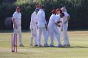 Congresbury CC have two games left of the season against Frenchay and Bedminster.