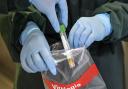UK Health and Security Agency announced that an estimated 43,000 people may have been given incorrect PCR test results.