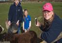 Krystal Finch filming Brayden and Jessica feeding the sheep at Animal Farm Adventure Park.    Picture: MARK ATHERTON