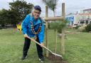 Mayor Cllr Sonia Russe plants a Scots Pine on the water park grounds.