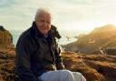 Sir David Attenborough fronts Wild Isles this weekend. Picture: BBC