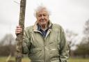 Sir David Attenborough will feature in a new hour-long documentary film on BBC One and iPlayer.