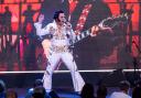 Elvis tributes from all over the world will travel to perform in the festival.