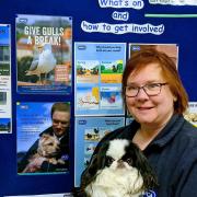 Nikki Tutton has raised more than £3,600 for RSPCA Brent Knoll Animal Centre      Picture: RSPCA North Somerset