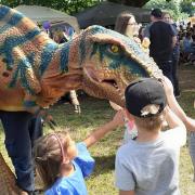 Rory the T Rex was the most popular attraction at the event.