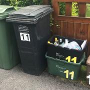 Three weekly bin collections being considered by North Somerset Council