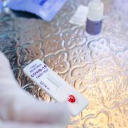 Free rapid test kits for coronavirus are available.