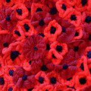 Lympsham's Women's Institute have knitted more than 1000 poppies as part of a Remembrance Day display.