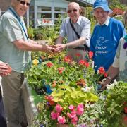 Plant sale, Chris Swatton, Denis Hawkings and Kay Bebb with customers John Fry and Val Clare.