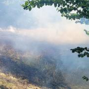 Firefighters were called the extinguish 200m of grass which was set alight in Ashcombe Park.
