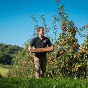 Apply now for a bundle of 5 apple trees