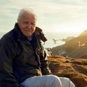 Sir David Attenborough fronts Wild Isles this weekend. Picture: BBC