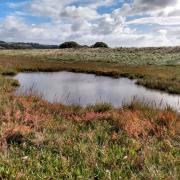 Bleadon Levels to be protected by Wessex Water.