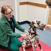The hospital has become part of the founding membership for this initiative, run by Dogs Trust and the British Veterinary Behaviour Association