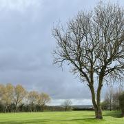 The golf course at Isle of Wedmore had to deal with some torrential wind