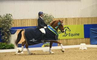 Sophie Lawson and Llanarth Magestic achieved a winning score of 72.22 per cent to win the Petplan Equine Area Festival Novice Bronze class.