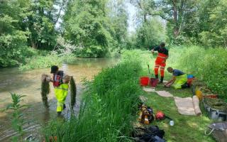 Weston Angling Association receives financial boost from Environment Agency to protect aquatic life.
